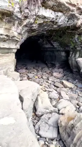 #seamonster #whatareyou #armybay #Auckland #newzealand