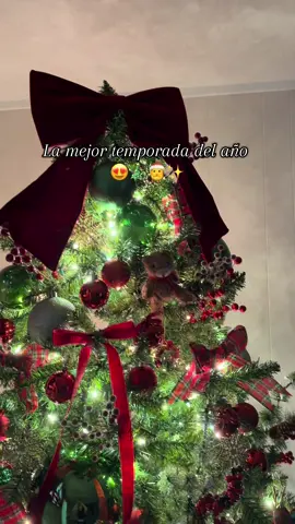 Ya pusieron su arbolito? #fyp #parati #katyjosselyn 