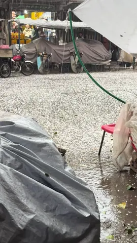 ډیره  خطرناکه ګلی وه  الله دی رحم وکی@