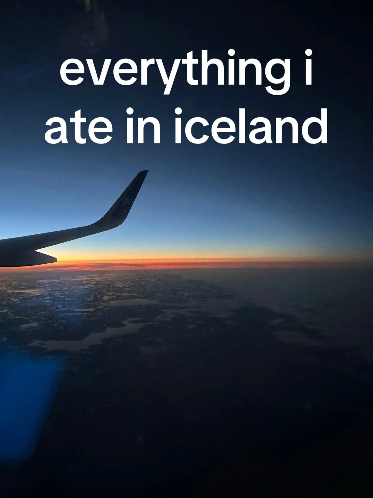 #iceland #travel #hotdog 