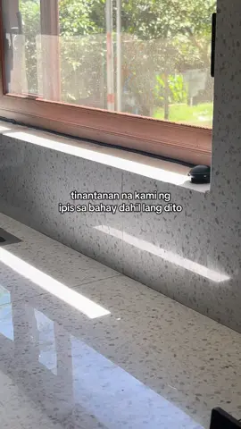 safe pa gamitin sa kitchen or sa mga malapit sa pagkain kasi yung pamatay ng ipis na to hindi siya  di spray #pamatayngipis #cockroachkiller #cockroachextermination #panatayipis 