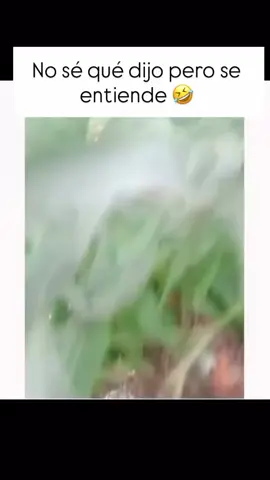 #aves #judas #elhombrenoesgente #CapCut #caballerosdelzodiaco 