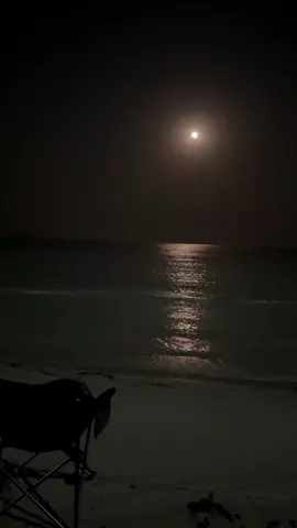 #القنفذه #اكسبلور #fyp 