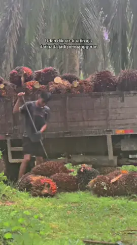 #lodingbuahsawit #sawitontiktok #moots? #fyp #anakrantau 