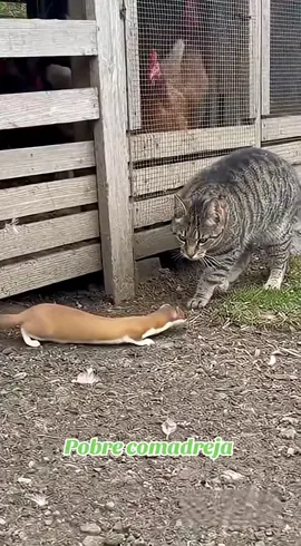 #LIVEIncentiveProgram #LIVERecognition #PaidPartnership 