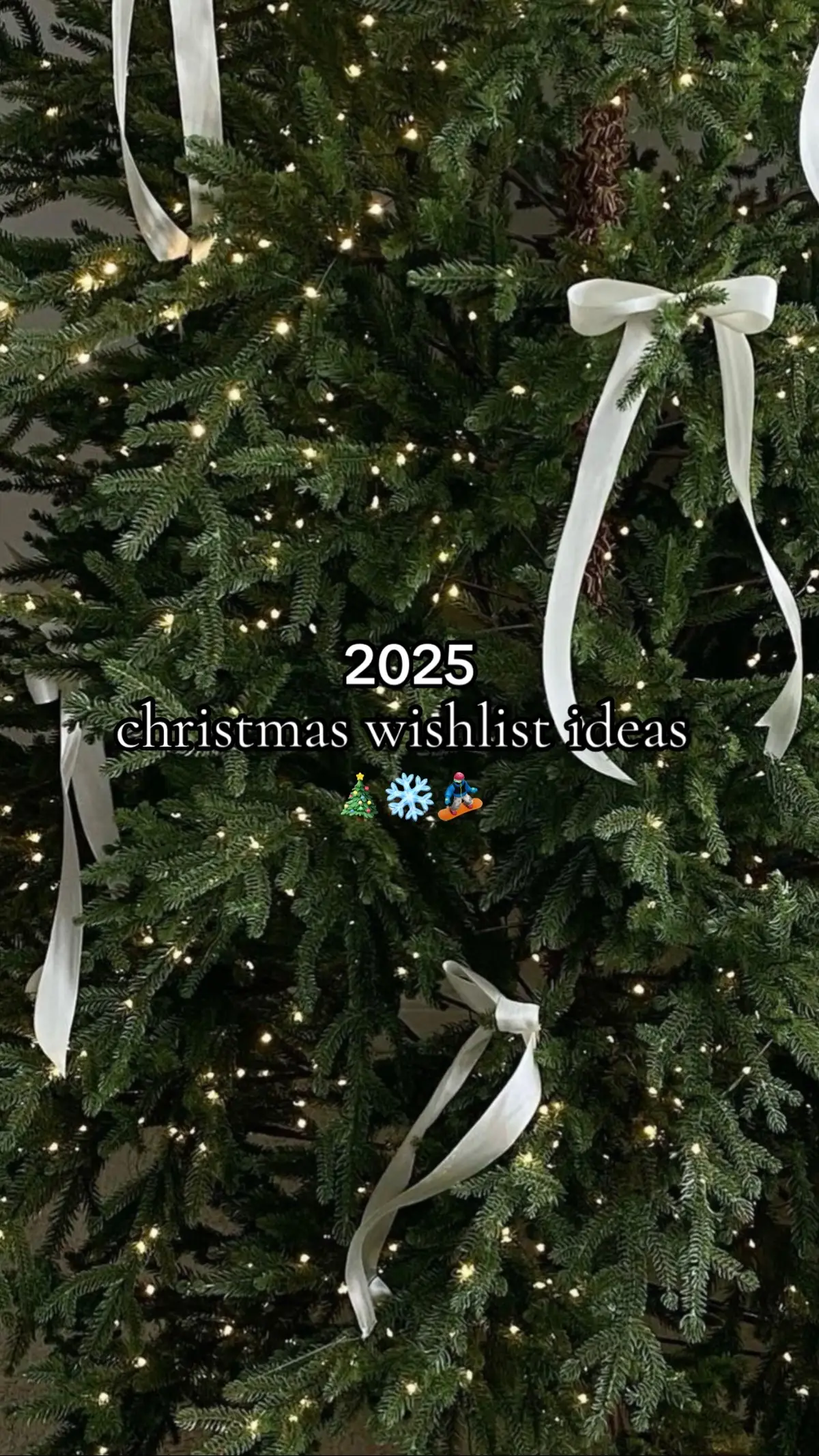 2025 christmas wishlist ideas! #christmas #christmastok #christmas2025 #christmaswishlist #christmaswishlistideas 