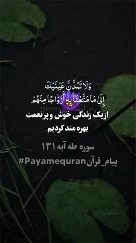 سوره طٰهٰ آیه ۱۳۱  .#تلاوت_قرآن_#تفسیر   #payam_quran #ترجمه_قرآن #قرآن 
