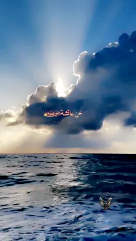 صل الله عليه وسلم تسليما كثيرا وعلى اله وصحبه اجمعين ❤️💖🌹🤍🦅💙