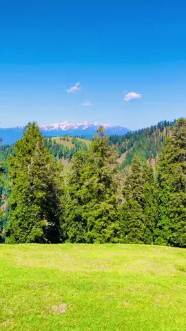 Ganga choti❣️✨#nuturephotography🌿 #fyppppppppppppppppppppppp #viewsproblem🥹😩 #100kviews #unfreezemyaccount @Kashmiri 🫀🍂 