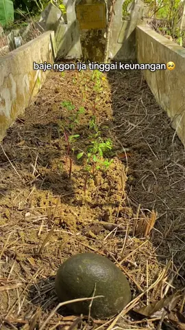 alfatihah mak , ayah, 🥹😖#bungsu#yatimpiatu😭 #perempuan #masukberandafyp #fypseindonesia 