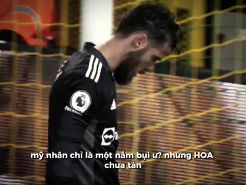 hoa vẫn là hoa...🥀🤥#degea#degea##capb#footballt#minhtandzy#storybongda_fc