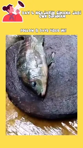 Ikannya sampe shockk hahaha😩 #CapCut #fyp #tutorial #ikan 