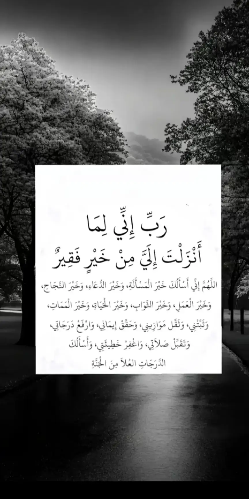ربي اني لما انزلت الي من خير فقير  #ربي_اني_لما_أنزلت_الي_من_خير_فقير  #القران_الكريم_راحه_نفسية😍🕋 #tiktok #مصر #مصر_الكنانة🇪🇬 