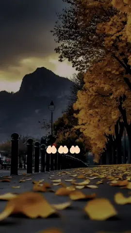 #الله #قران #الصلاة #يارب❤️ #اللهم_صلي_على_نبينا_محمد 