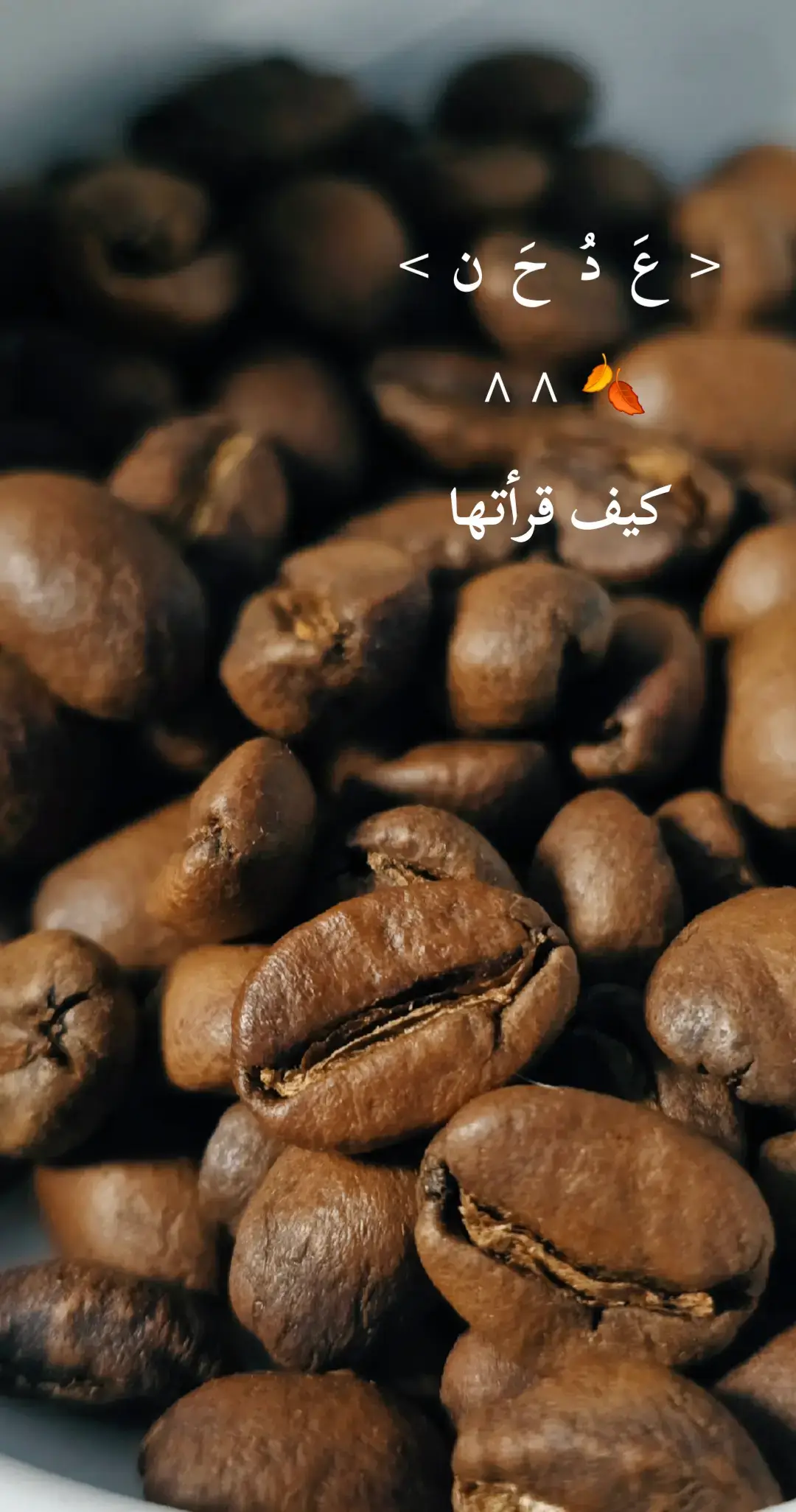#تصوري📸 #your_coffee #لاتشاهد_وترحل_دعنا_نرى_لك_اثرطيب #احترافي #viral 