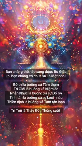 #phatphapnhiemmau #nammoadidaphat #buddha #tinhthuc #xuhuong 