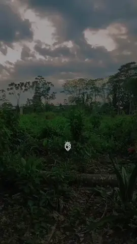 #juguito🧃 #foryou #vida #fyp #paratiiiiiiiiiiiiiiiiiiiiiiiiiiiiiii 