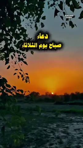 دعاء الصباح | اللهم اجعل هذا الصباح بداية خير، وراحة لقلبٍ تعب، وفرجًا لكل من ضاقت به الأيام، ونورًا يمحو ما كان من حزن، ويكتب لنا فيه من لطفك ما يغيّر حالنا للأفضل يا رب. #دعاء #اللهم_امين #دعاء_الصباح  #يارب 