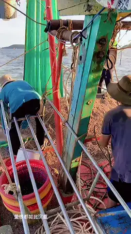 #TrườngAn #xhtiktok #fyp 