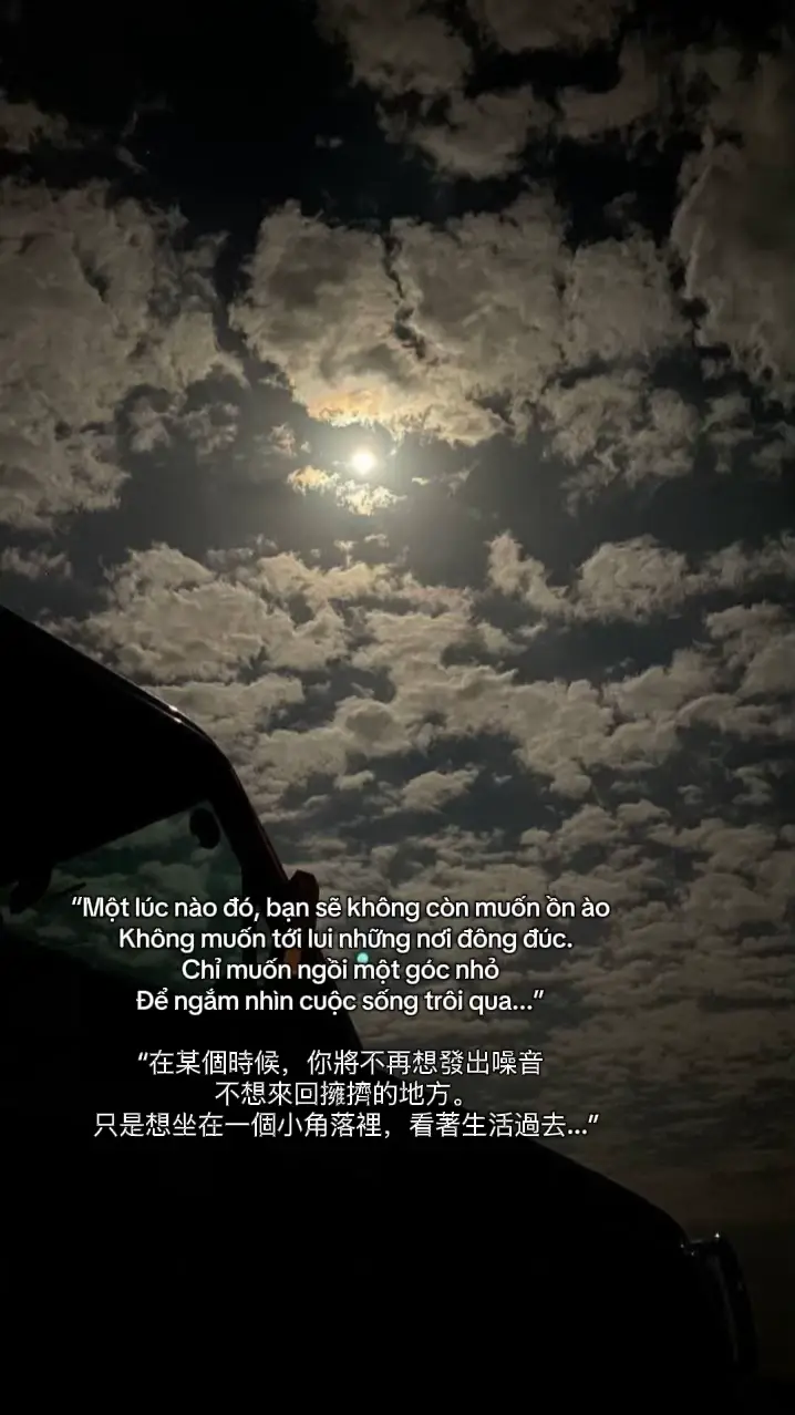 “Một lúc nào đó, bạn sẽ không còn muốn ồn ào   Không muốn tới lui những nơi đông đúc.  Chỉ muốn ngồi một góc nhỏ để ngắm nhìn cuộc sống trôi qua...” “在某個時候，你將不再想發出噪音   不想來回擁擠的地方。   只是想坐在一個小角落裡，看著生活過去...” #fyp #viral #trangbuon99 