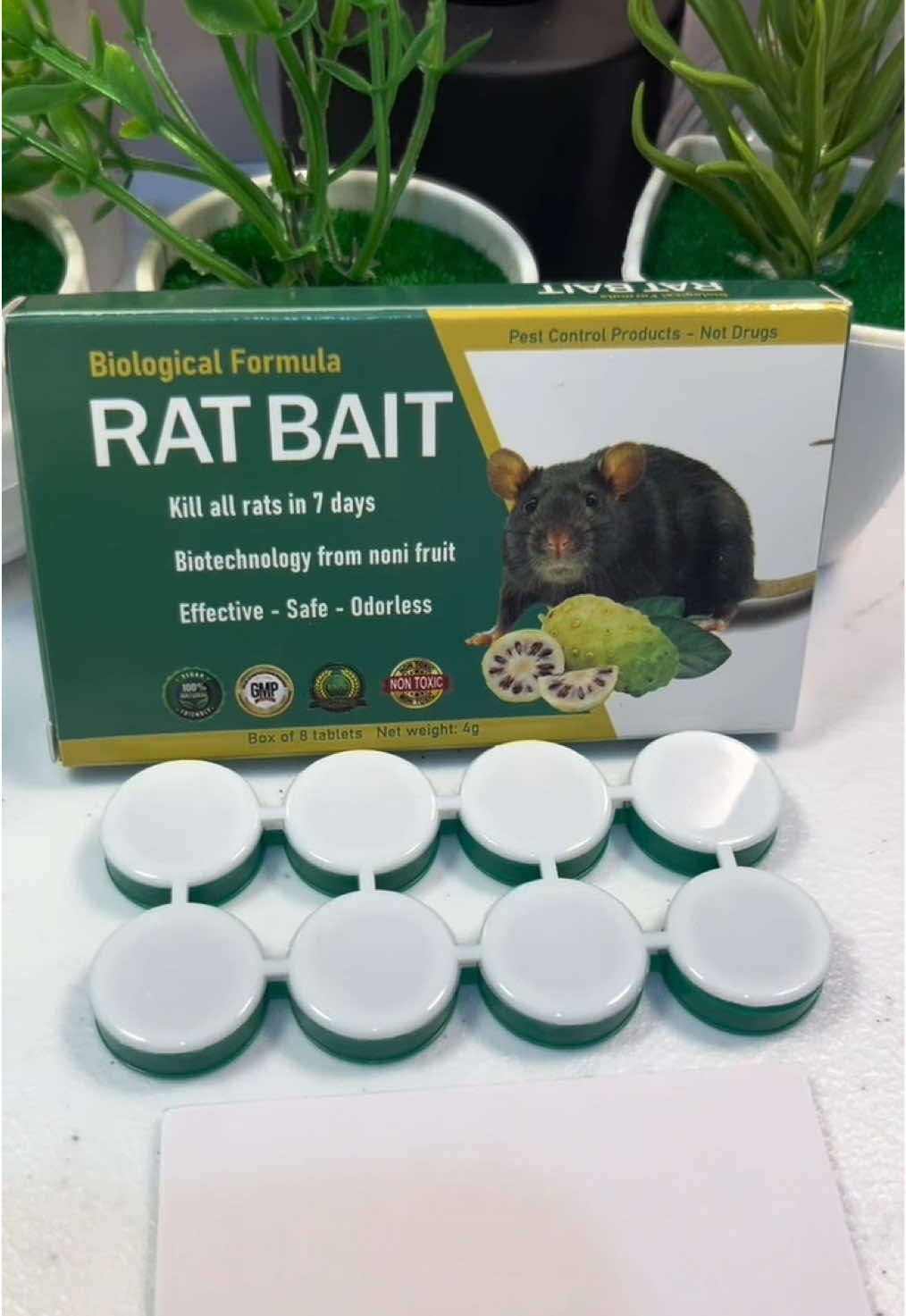 Fast-acting, natural protection for your space – safe for your home and effective against pests 🏠💡 Keep your home rodent-free with this eco-friendly solution! #RodentRepellent  #RatRepellent #PestControl  #RatBait #Househackph 