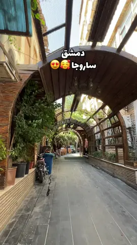 #دمشق #ساروجا #فيروز #عصفورة_الشجن #سوريا 