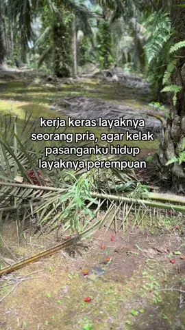 😇 #egrekpalkinglong #pemanensawit #kulisawit #sawitkalimantan #fpyvirallvideo😍😍 