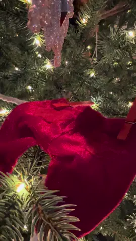 Santa has already visited my Christmas tree and if you know you know, and if you’ve never been to Hobby lobby before you can get some amazing things that’s why I got Santa‘s Garland  #foryoupage #santa #hobbylobby #fyp #hobbylobbyfinds 