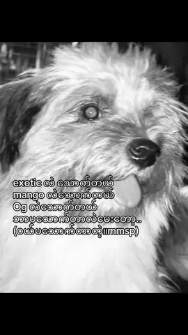 ကျေးဇူးဗျ🤌🏾#million #fpy_tiktok_viral #foryou 