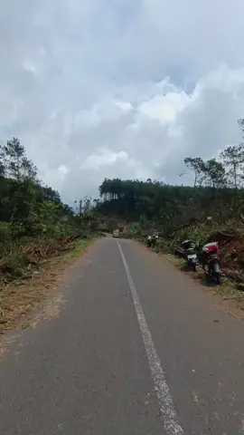 KEBUN PINUS SUKAMANTRI🥲 sidihhh bngettt tempatt yang duluu jdi incaran banyak orang dengan view yang indah dan suasana yang amatt sejuk sekarang jdi terasaa beda dan panas🥲🥲 #fyppppppppppppppppppppppp #sukamatri #kenangan 