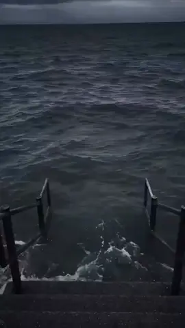 🗿 #funnyvideos #memestiktok #meme 