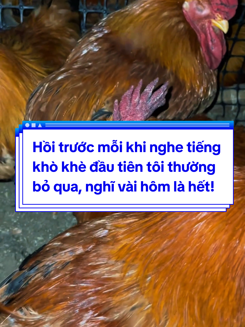 Hồi trước mỗi khi nghe tiếng khò khè đầu tiên tôi thường bỏ qua, nghĩ vài hôm là hết!  #biomaster #mentangtruongchoga #winnext #viral #vobeogrownmax 
