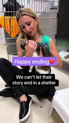 Stewie and KC lost their owners and their home💔 Landed in a shelter kennel - with no one coming for them. We couldn’t let their story end in a shelter cage. After countless pleas to find an angel willing to take them both in for the rest of their lives… we finally found one. 💕 Please make a plan for your animals in case of an emergency. These babies didn’t have one. Thankfully, they will still have a happy ending. ✨ #fyp #dogsoftiktok #rescuedog #catsoftiktok 