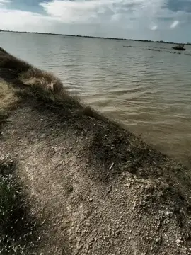 我不知道我的坚持 是否会有回报 “但我仍在这里等你...