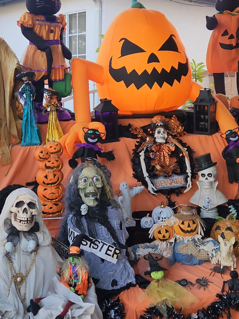 The famous Halloween House of Adams Hill #halloween #decoration #hauntedhouse #foryoupage #fyp 