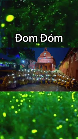 Gió ơi xin đừng lấy em đi 🌻 #JackJ97 #Jack #J97 #PhuongTuan #DomDom 