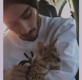 #ZAYNMALIK — he is so deer  #deer #fav #1D 