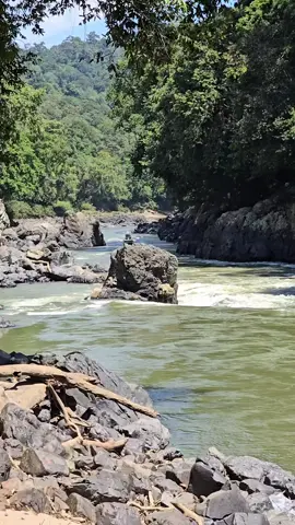 Indonesia bagian Mahakam Ulu 🔥🔥 Speed Sejahtera lagi gacor 🔥#sungaimahakam #riampanjang #vibesmahulu #mahakamulu #kalimantantimur 
