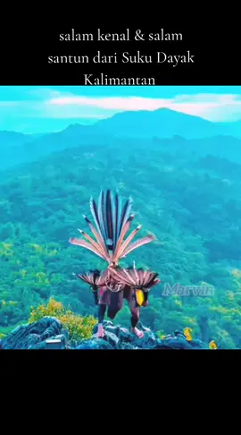 Tarian Suku Dayak Kalimantan #soundviral #soundviral #sounviraltiktok #kaliamantan #kalimantanbarat #dayakviral  #tariandayak #sukudayak #taridayakkalimantan 