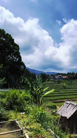 suasana indah pedesaan di ujung sawah #suasanakampung #fypシ゚ 