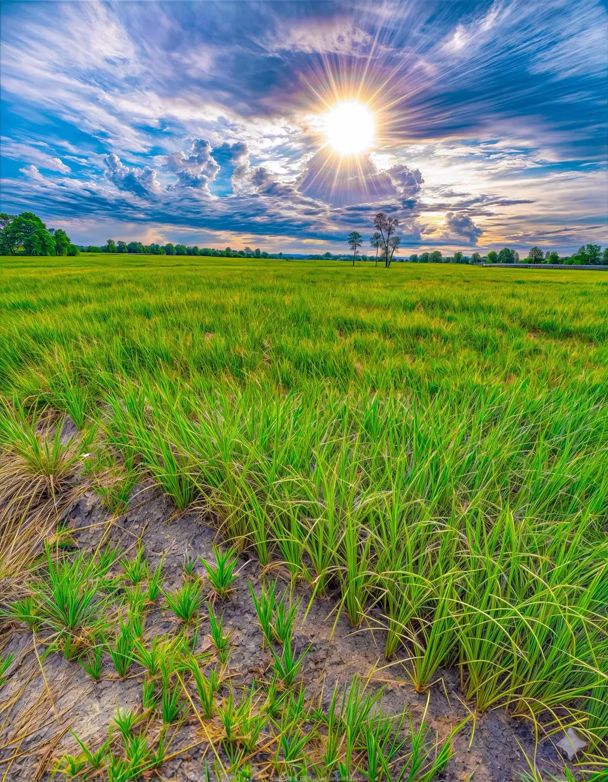 #chinhanh #yennhilightroom #lightroom 