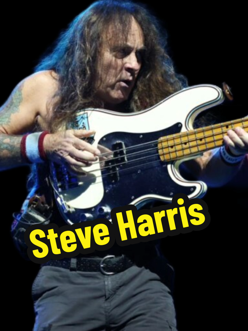 inspired by @JayPierlis  who should I do next? #fyp #ironmaiden #steveharris #heavymetal #bassist 