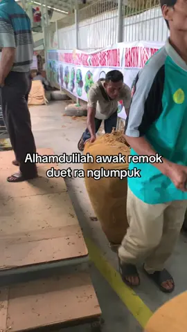 Piye kabare mbakoem bolo?? #petanimuda #fyp ##beranda #petanitembakau #petanimuda 