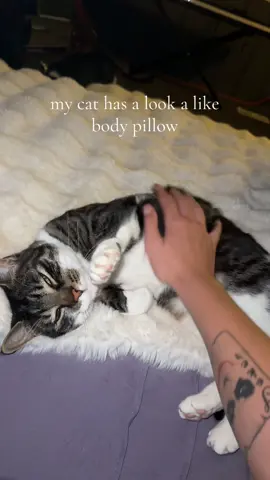 i love her and the pillow so much 💓 #catpillow #cattok #bodypillow #musthave 