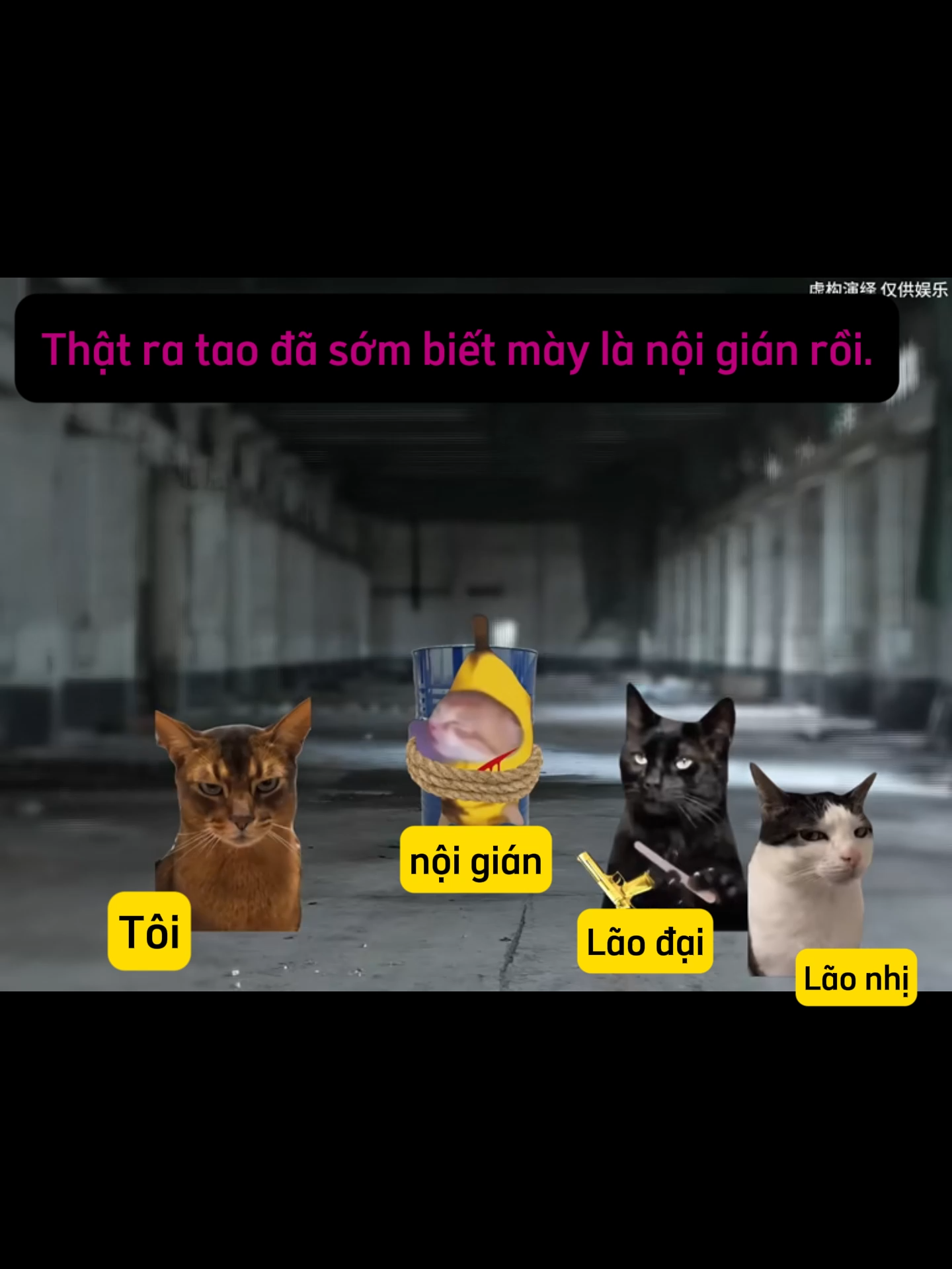Tớ có live chút đồ 1k, các bạn zô ủng hộ tớ 1 món nhaaa #catmeme #haihuoc #memes #cat #funnytiktok