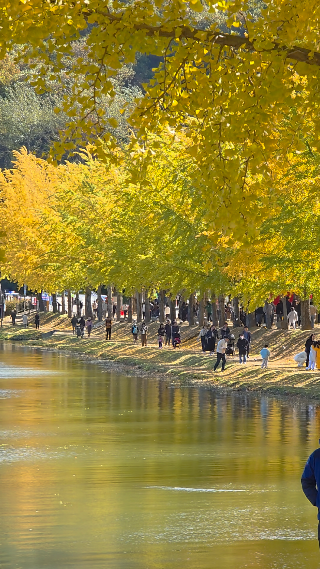 #한국 #korea #문광저수지 #괴산 #🍁🍂 