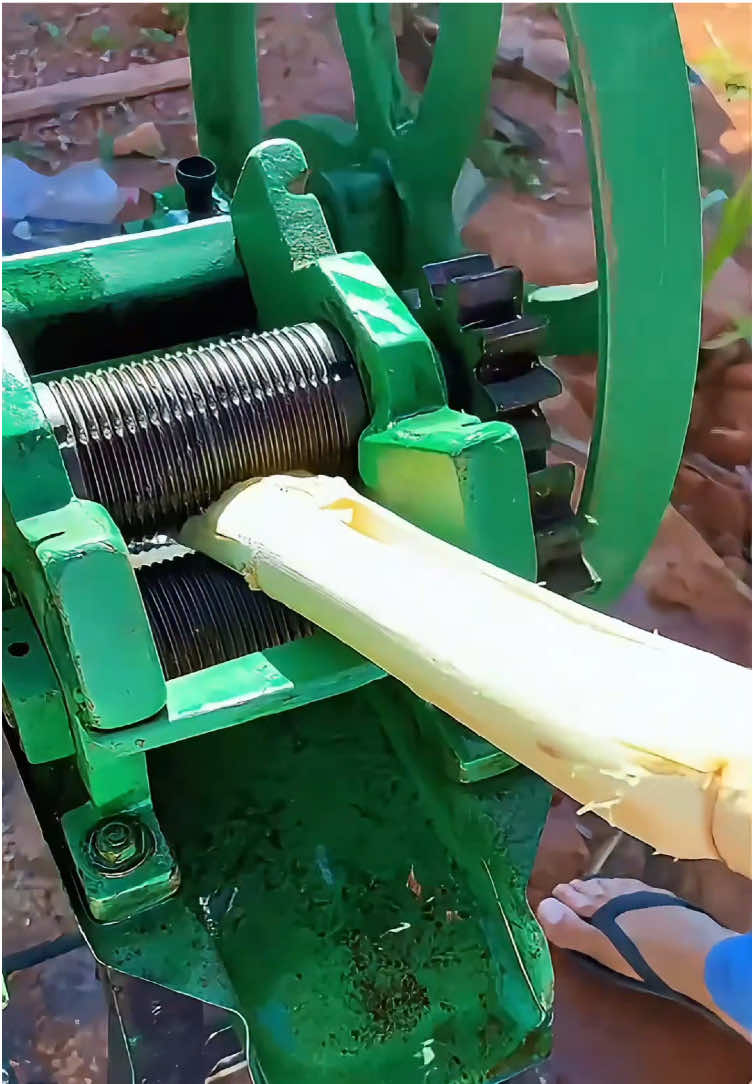 Máy ép nước mía thời đầu #maynongnghiep #nongdan #khoinghiep 