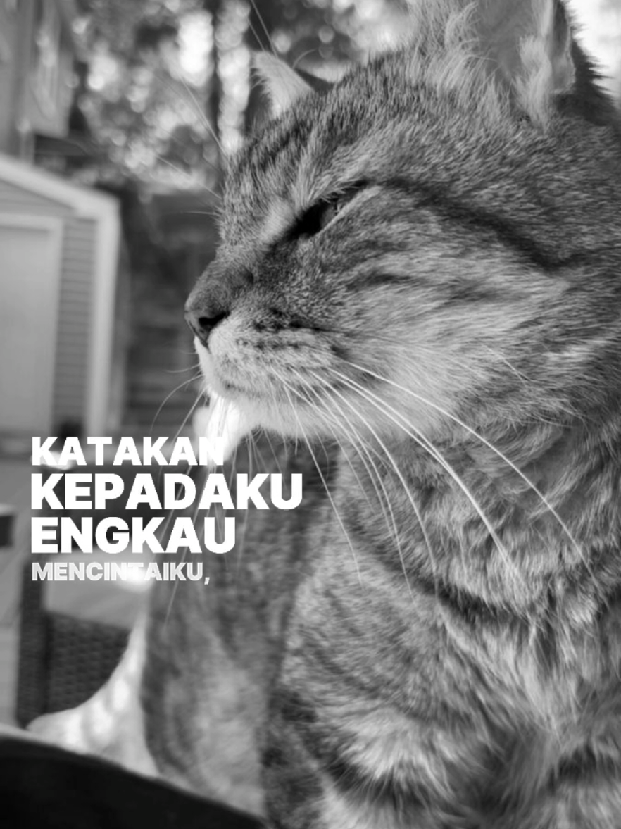 #lyrics #liriklaguviral #music #sad #liriklagu 