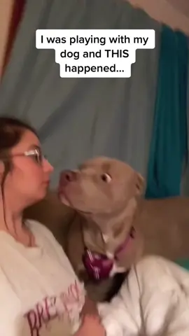 When you bark at your dog and they start arguing back 🐶😂 #FunnyDogs #DogComedy #PuppyHumor #DogOwners #DogLife 