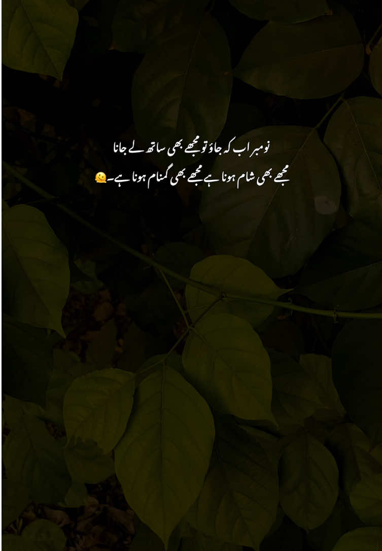 November Mujay bi sath ly jana💔🥺#fyp #grow #poetry #viralvideos #aestheticvideos 